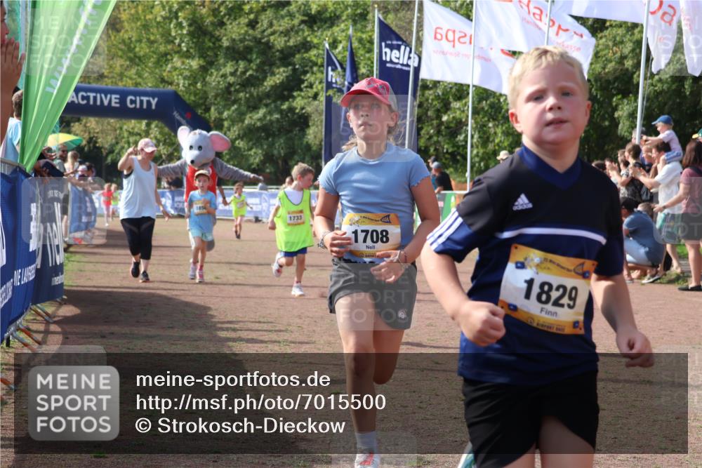 08.09.2024 - Airport Race Strokosch-Dieckow http://msf.ph/oto/7015500 08.09.2024 11:31:58 Ziel 1664, 1666, 1704, 1708, 1733, 1803, 1829, 1856, 3413 meine-sportfotos.de