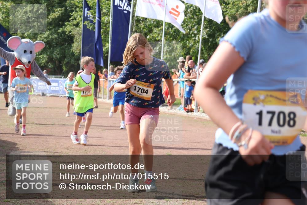 08.09.2024 - Airport Race Strokosch-Dieckow http://msf.ph/oto/7015515 08.09.2024 11:31:59 Ziel 1664, 1666, 1704, 1708, 1733, 1803, 1829, 1856, 3413 meine-sportfotos.de