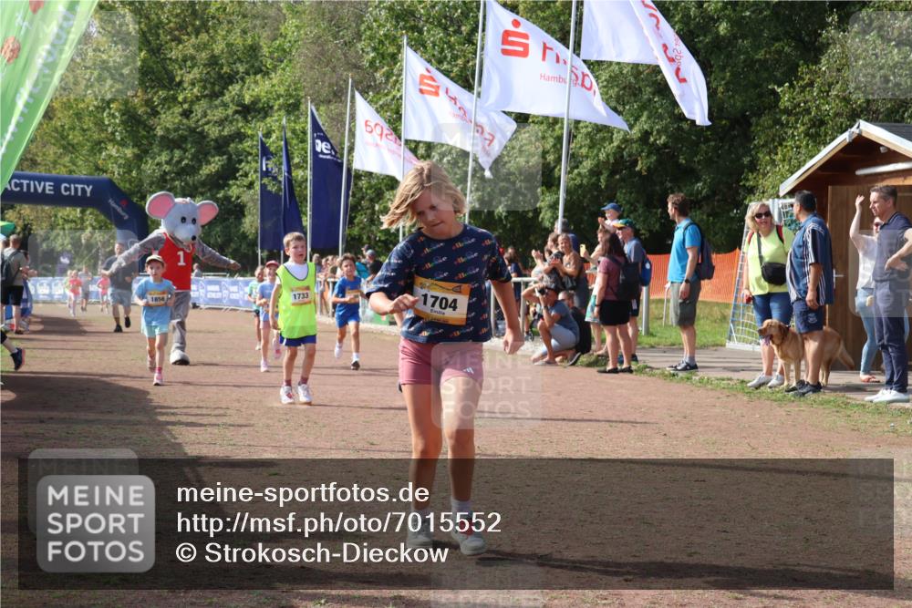 08.09.2024 - Airport Race Strokosch-Dieckow http://msf.ph/oto/7015552 08.09.2024 11:31:59 Ziel 1664, 1666, 1704, 1708, 1733, 1803, 1829, 1856, 3413 meine-sportfotos.de