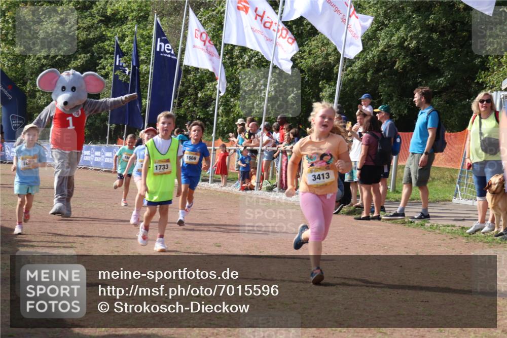 08.09.2024 - Airport Race Strokosch-Dieckow http://msf.ph/oto/7015596 08.09.2024 11:32:00 Ziel 1664, 1666, 1704, 1708, 1733, 1803, 1829, 1856, 3413 meine-sportfotos.de