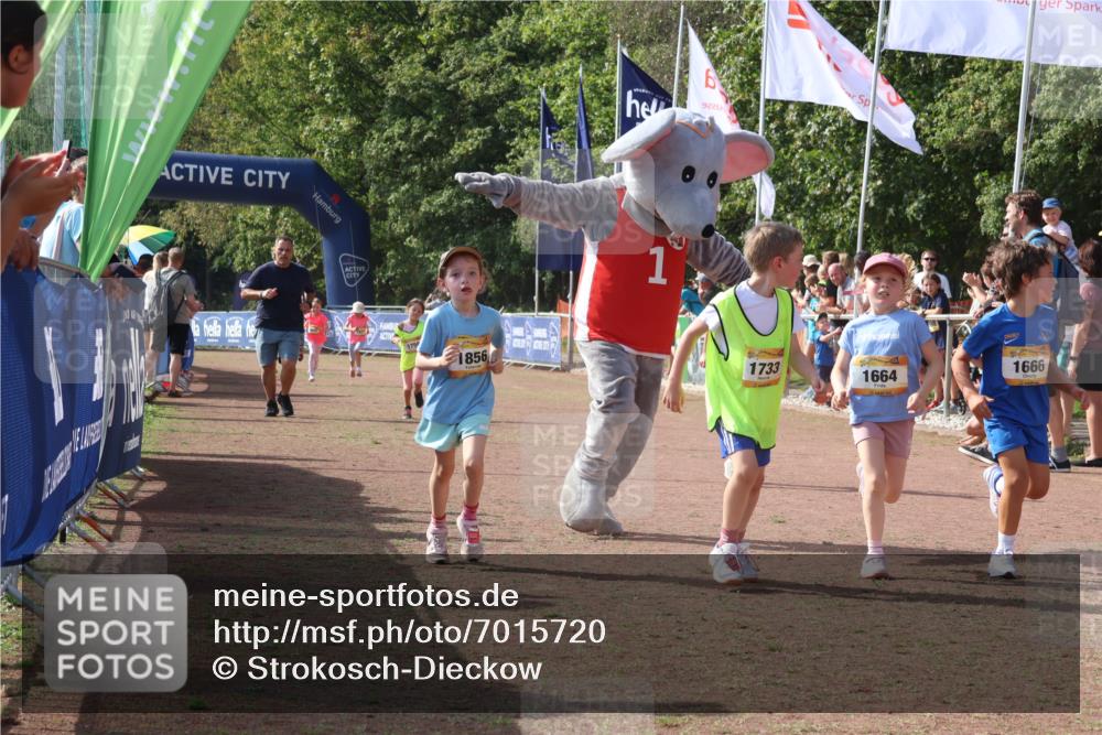08.09.2024 - Airport Race Strokosch-Dieckow http://msf.ph/oto/7015720 08.09.2024 11:32:02 Ziel 1627, 1643, 1664, 1666, 1704, 1733, 1759, 1803, 1856, 3413 meine-sportfotos.de