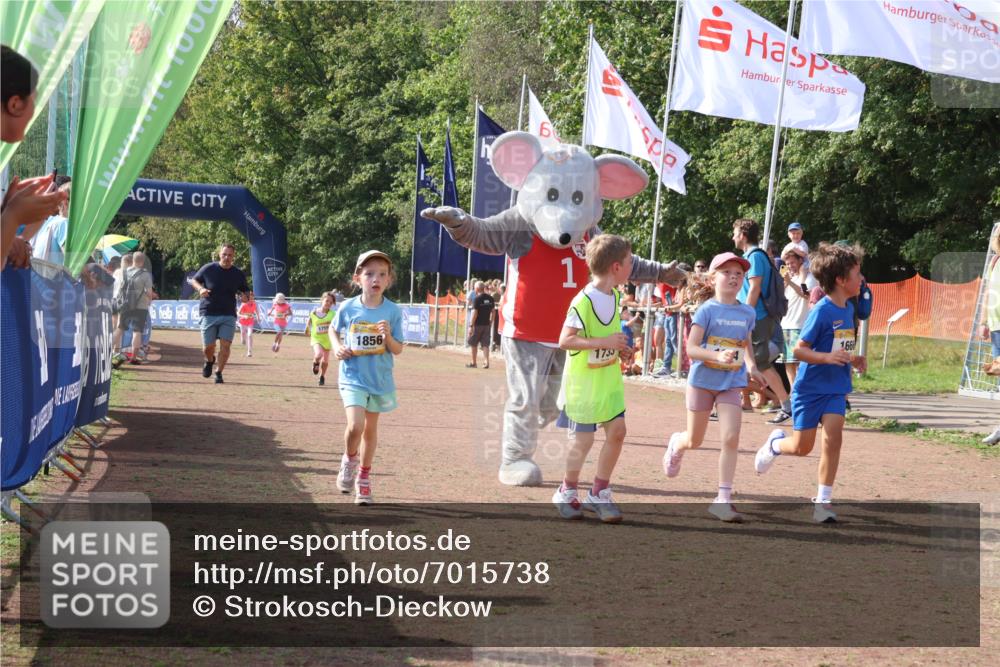 08.09.2024 - Airport Race Strokosch-Dieckow http://msf.ph/oto/7015738 08.09.2024 11:32:03 Ziel 1627, 1643, 1664, 1666, 1733, 1759, 1803, 1856, 3413 meine-sportfotos.de