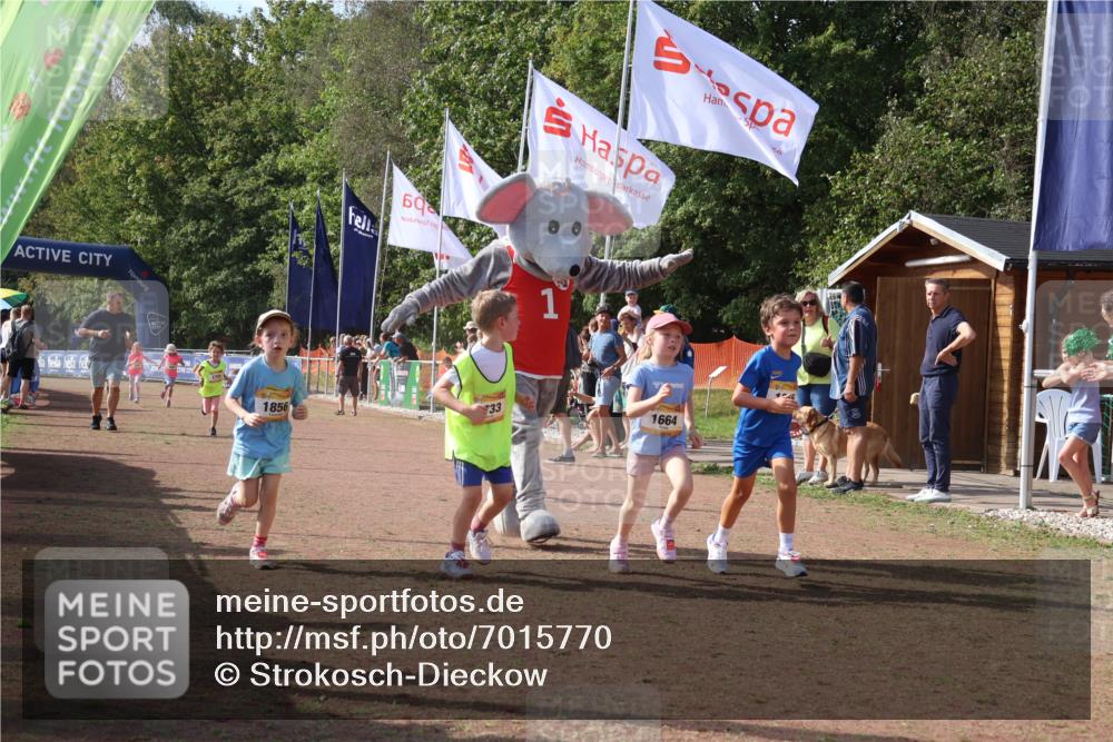 08.09.2024 - Airport Race Strokosch-Dieckow http://msf.ph/oto/7015770 08.09.2024 11:32:03 Ziel 1627, 1643, 1664, 1666, 1733, 1759, 1803, 1856, 3413 meine-sportfotos.de