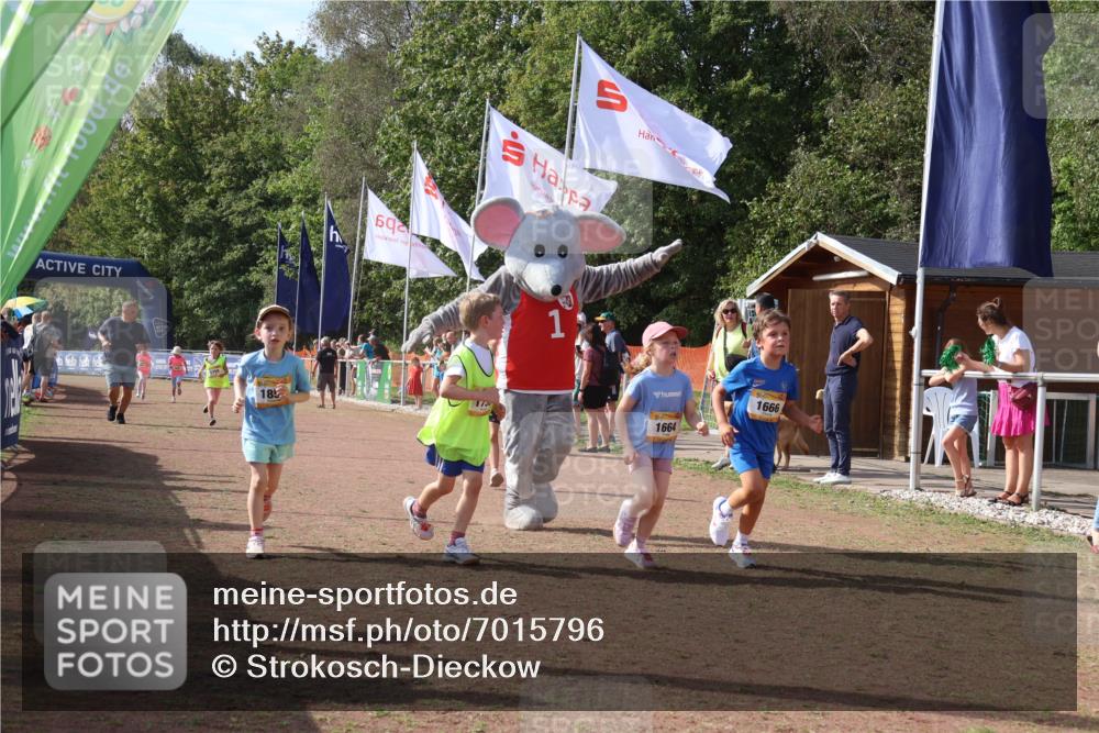 08.09.2024 - Airport Race Strokosch-Dieckow http://msf.ph/oto/7015796 08.09.2024 11:32:03 Ziel 1627, 1643, 1664, 1666, 1733, 1759, 1803, 1856, 3413 meine-sportfotos.de