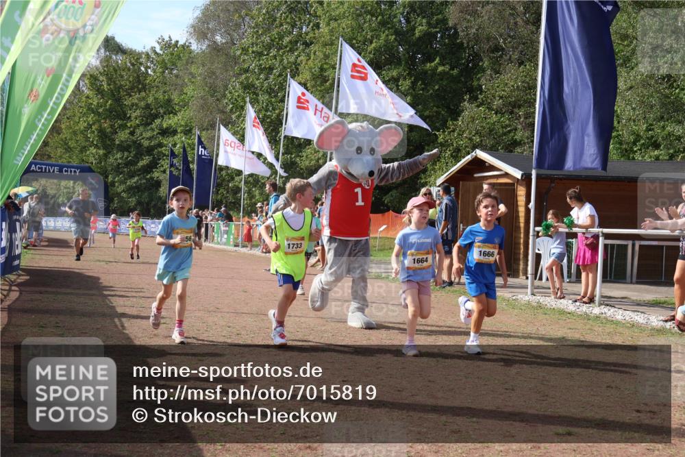 08.09.2024 - Airport Race Strokosch-Dieckow http://msf.ph/oto/7015819 08.09.2024 11:32:04 Ziel 1627, 1643, 1664, 1666, 1733, 1759, 1803, 1856, 3413 meine-sportfotos.de