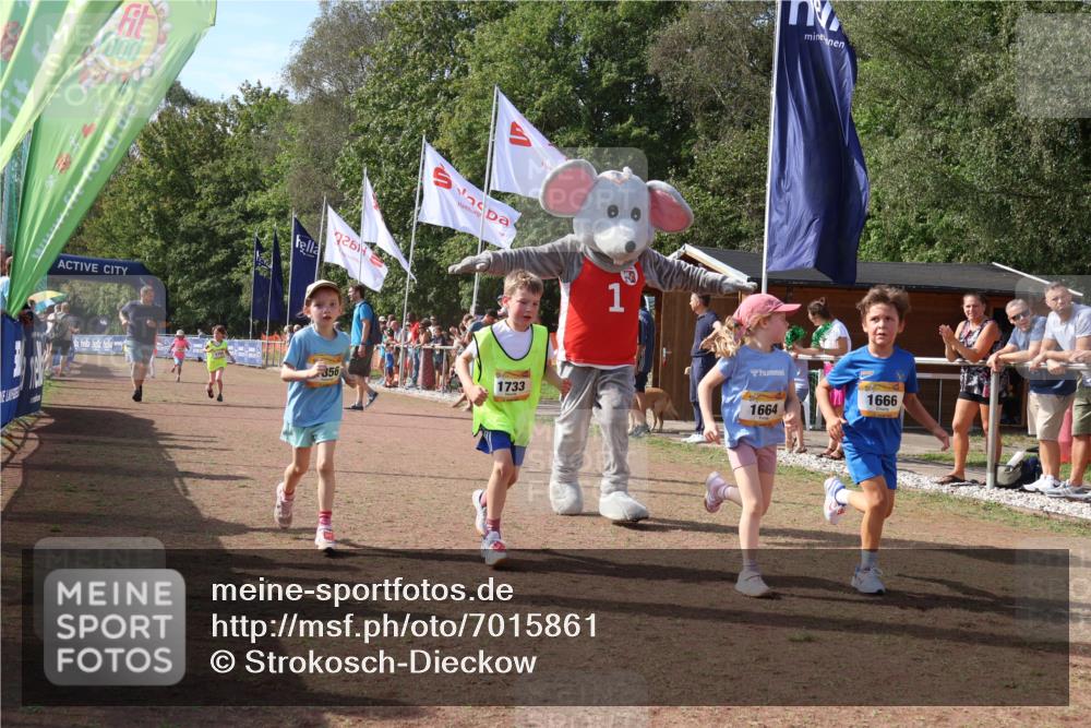 08.09.2024 - Airport Race Strokosch-Dieckow http://msf.ph/oto/7015861 08.09.2024 11:32:04 Ziel 1627, 1643, 1664, 1666, 1733, 1759, 1803, 1856, 3413 meine-sportfotos.de