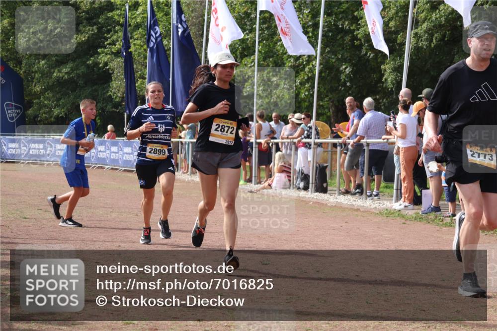 08.09.2024 - Airport Race Strokosch-Dieckow http://msf.ph/oto/7016825 08.09.2024 12:07:32 Ziel 2731, 2773, 2872, 2899 meine-sportfotos.de