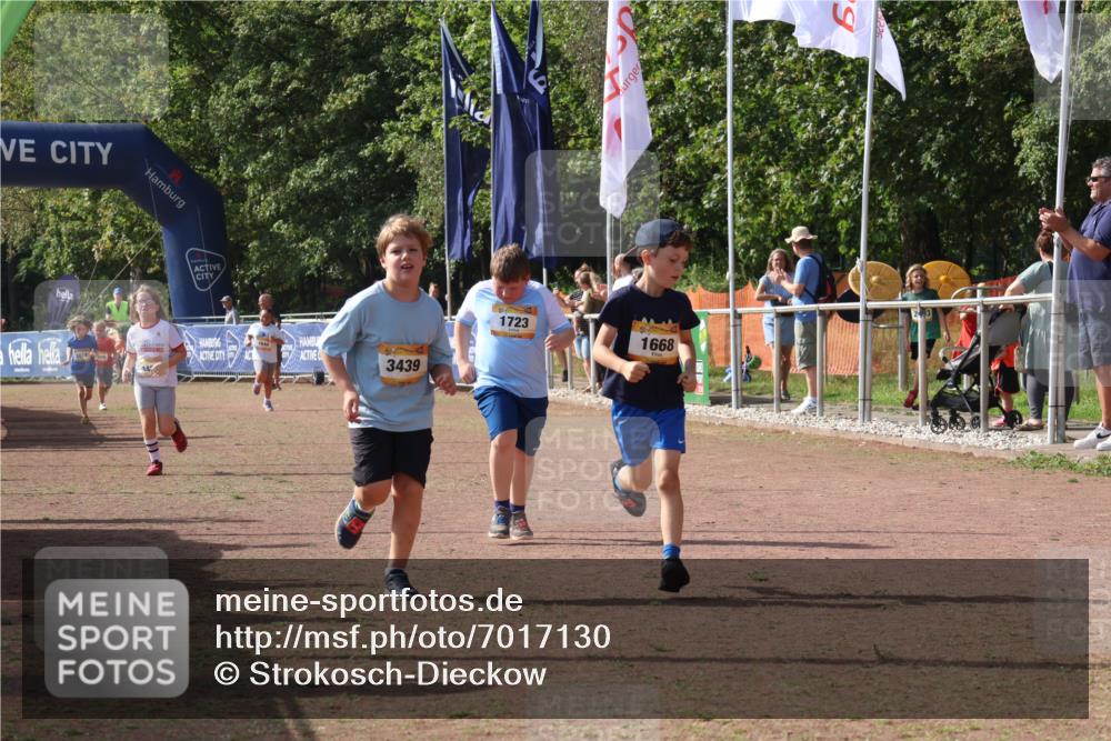 08.09.2024 - Airport Race Strokosch-Dieckow http://msf.ph/oto/7017130 08.09.2024 11:33:17 Ziel 1668, 1723, 3431, 3439 meine-sportfotos.de