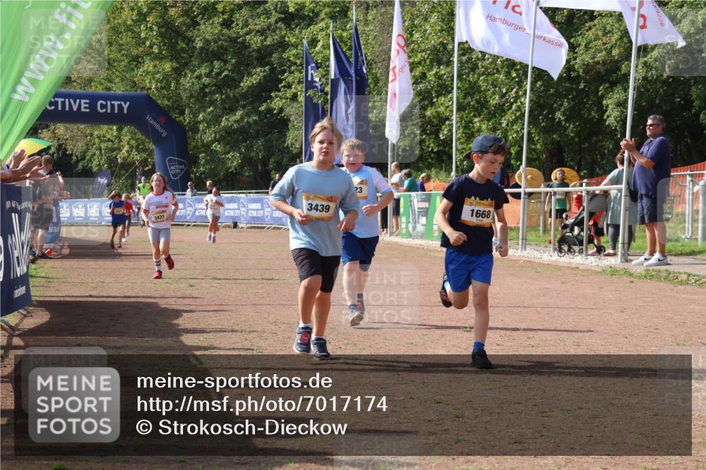 08.09.2024 - Airport Race Strokosch-Dieckow http://msf.ph/oto/7017174 08.09.2024 11:33:18 Ziel 1668, 1723, 3431, 3439 meine-sportfotos.de