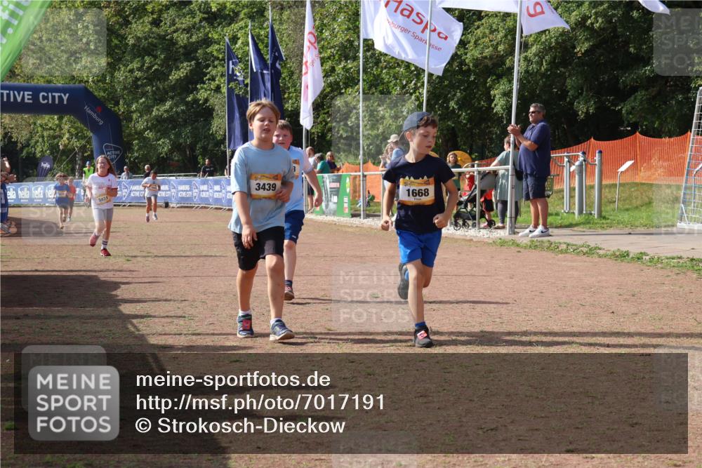 08.09.2024 - Airport Race Strokosch-Dieckow http://msf.ph/oto/7017191 08.09.2024 11:33:18 Ziel 1668, 1723, 3431, 3439 meine-sportfotos.de