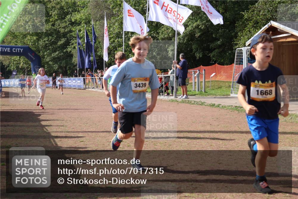 08.09.2024 - Airport Race Strokosch-Dieckow http://msf.ph/oto/7017315 08.09.2024 11:33:20 Ziel 1668, 1723, 3431, 3439 meine-sportfotos.de