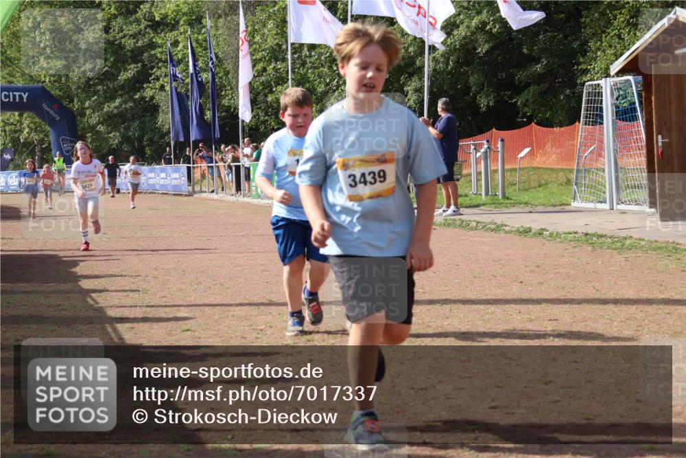 08.09.2024 - Airport Race Strokosch-Dieckow http://msf.ph/oto/7017337 08.09.2024 11:33:20 Ziel 1668, 1723, 3431, 3439 meine-sportfotos.de