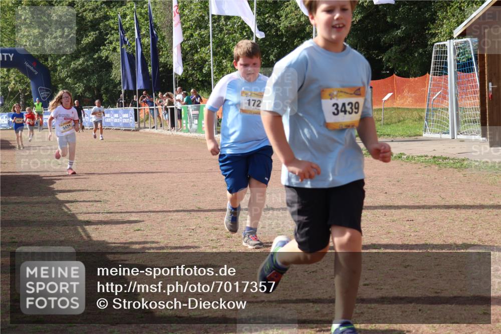 08.09.2024 - Airport Race Strokosch-Dieckow http://msf.ph/oto/7017357 08.09.2024 11:33:20 Ziel 1668, 1723, 3431, 3439 meine-sportfotos.de