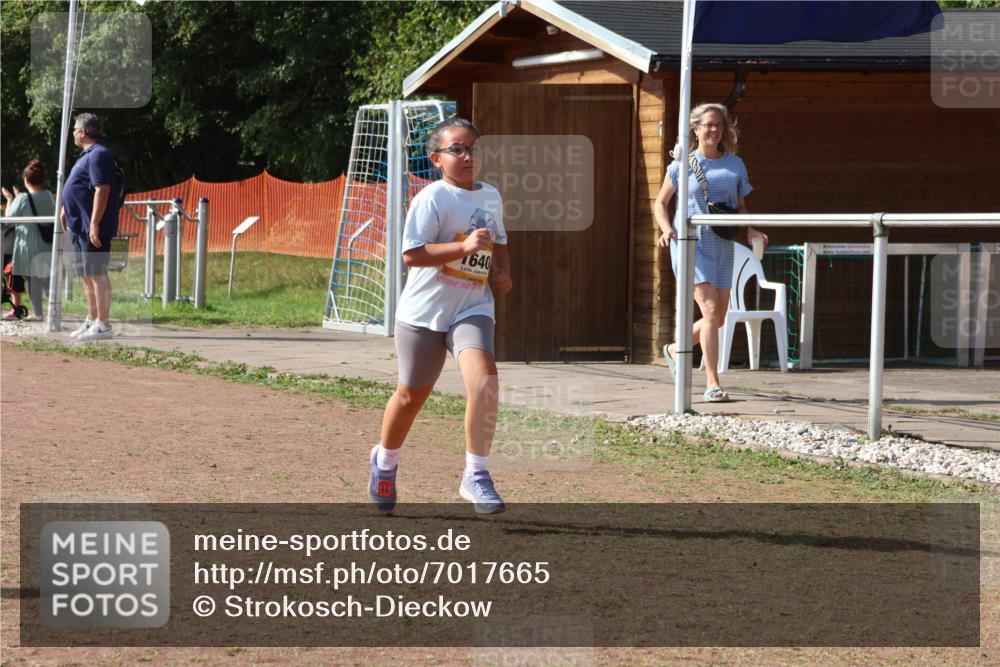 08.09.2024 - Airport Race Strokosch-Dieckow http://msf.ph/oto/7017665 08.09.2024 11:33:29 Ziel 1629, 1640, 1674, 3431 meine-sportfotos.de