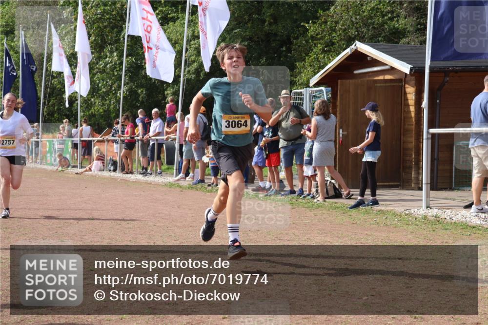 08.09.2024 - Airport Race Strokosch-Dieckow http://msf.ph/oto/7019774 08.09.2024 12:09:01 Ziel 201, 2705, 2757, 3064 meine-sportfotos.de