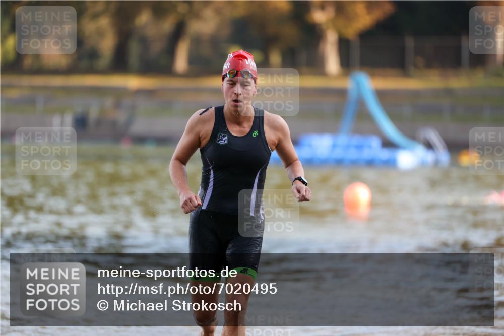 08.09.2024 - Stadtparktriathlon Michael Strokosch http://msf.ph/oto/7020495 08.09.2024 09:05:27 Schwimmen 133, 159 meine-sportfotos.de