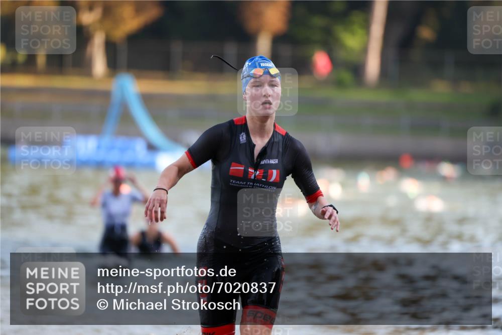 08.09.2024 - Stadtparktriathlon Michael Strokosch http://msf.ph/oto/7020837 08.09.2024 09:06:09 Schwimmen 153, 154, 172 meine-sportfotos.de