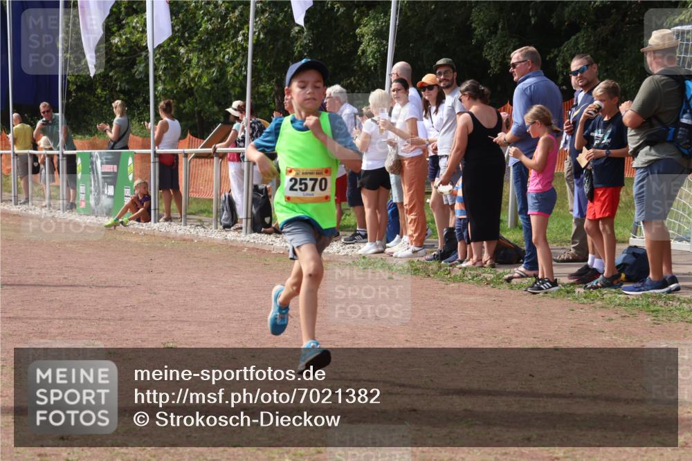 08.09.2024 - Airport Race Strokosch-Dieckow http://msf.ph/oto/7021382 08.09.2024 12:01:56 Ziel 2570, 2648, 2684 meine-sportfotos.de