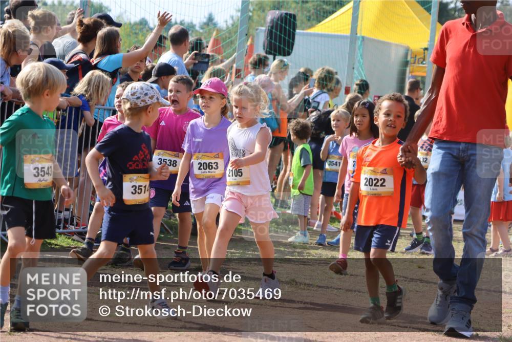 08.09.2024 - Airport Race Strokosch-Dieckow http://msf.ph/oto/7035469 08.09.2024 11:13:38 Ziel  meine-sportfotos.de