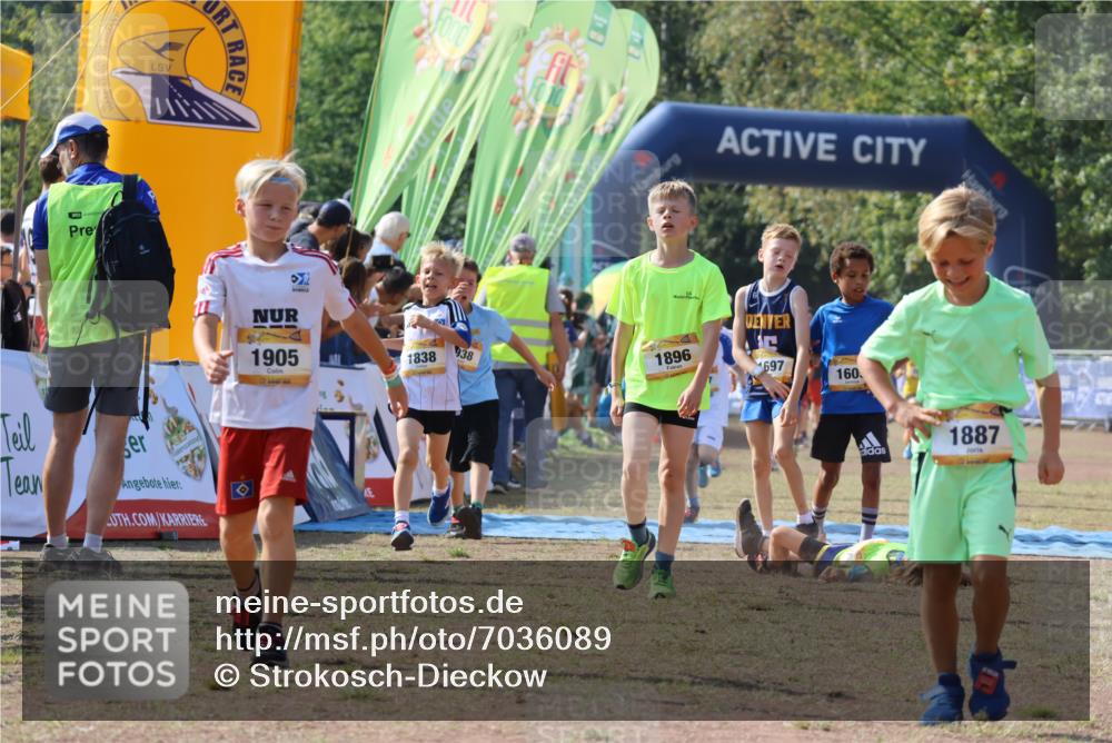 08.09.2024 - Airport Race Strokosch-Dieckow http://msf.ph/oto/7036089 08.09.2024 11:26:46 Ziel 1605, 1697, 1722, 1740, 1838, 1872, 1896, 1921, 1937, 1938, 1939 meine-sportfotos.de