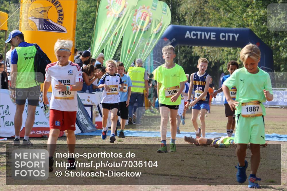 08.09.2024 - Airport Race Strokosch-Dieckow http://msf.ph/oto/7036104 08.09.2024 11:26:46 Ziel 1605, 1697, 1722, 1740, 1838, 1872, 1896, 1921, 1937, 1938, 1939 meine-sportfotos.de