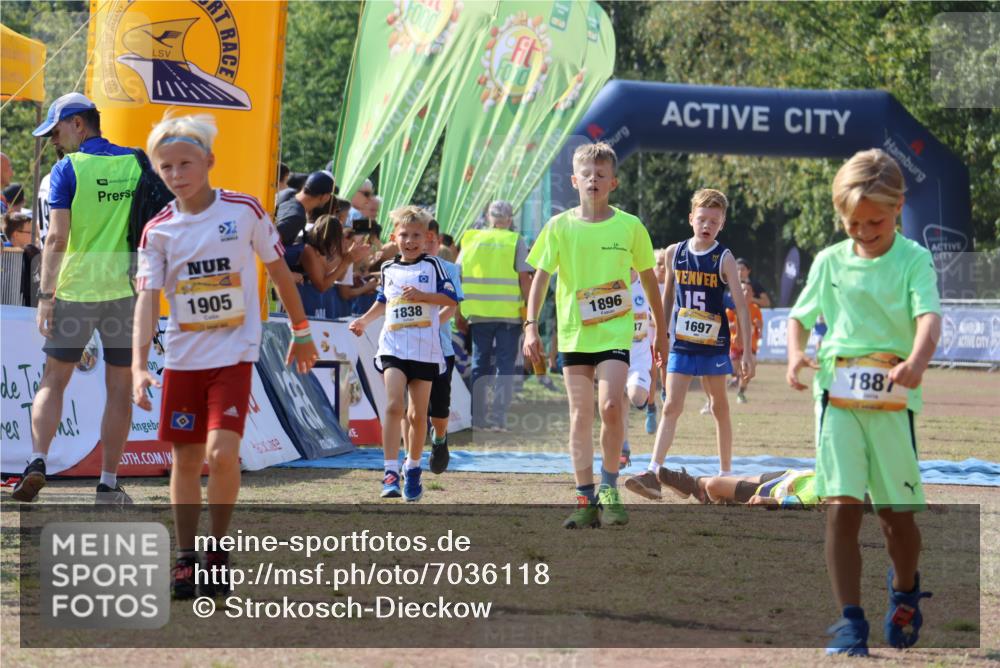 08.09.2024 - Airport Race Strokosch-Dieckow http://msf.ph/oto/7036118 08.09.2024 11:26:47 Ziel 1605, 1697, 1722, 1740, 1807, 1838, 1857, 1872, 1896, 1919, 1921, 1937, 1938, 1939 meine-sportfotos.de