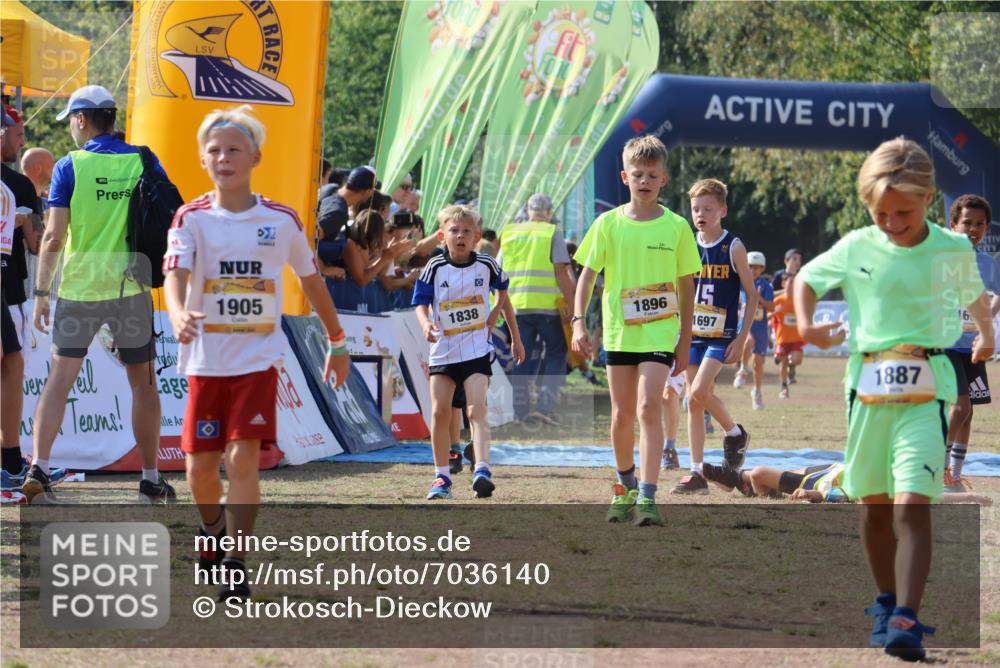 08.09.2024 - Airport Race Strokosch-Dieckow http://msf.ph/oto/7036140 08.09.2024 11:26:47 Ziel 1605, 1697, 1722, 1740, 1807, 1838, 1857, 1872, 1896, 1919, 1921, 1937, 1938, 1939 meine-sportfotos.de