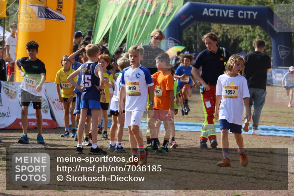 08.09.2024 - Airport Race Strokosch-Dieckow http://msf.ph/oto/7036185 08.09.2024 11:27:06 Ziel 1624, 1727, 1745, 1747, 1751, 1871, 1874, 1889, 3436, 3440, 3444, 3451 meine-sportfotos.de