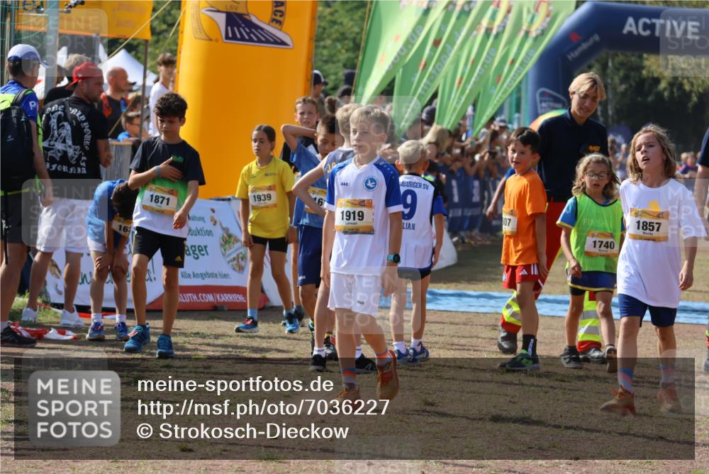 08.09.2024 - Airport Race Strokosch-Dieckow http://msf.ph/oto/7036227 08.09.2024 11:27:07 Ziel 1624, 1727, 1745, 1747, 1751, 1871, 1874, 1889, 3436, 3440, 3444, 3451 meine-sportfotos.de
