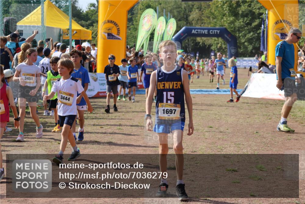 08.09.2024 - Airport Race Strokosch-Dieckow http://msf.ph/oto/7036279 08.09.2024 11:27:26 Ziel 1649, 1650, 1702, 1703, 1707, 1717, 1748, 1848, 1862, 1867, 1893, 1898, 1914, 1934 meine-sportfotos.de