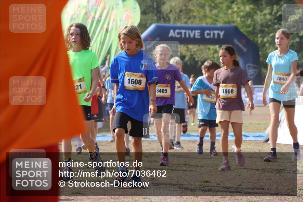 08.09.2024 - Airport Race Strokosch-Dieckow http://msf.ph/oto/7036462 08.09.2024 11:28:00 Ziel 1607, 1633, 1642, 1646, 1719, 1746, 1781, 1812, 1820, 1843, 1860, 1866, 1885, 1892, 1902, 1912, 1927, 3405, 3415, 3416, 3417, 3429, 3432 meine-sportfotos.de