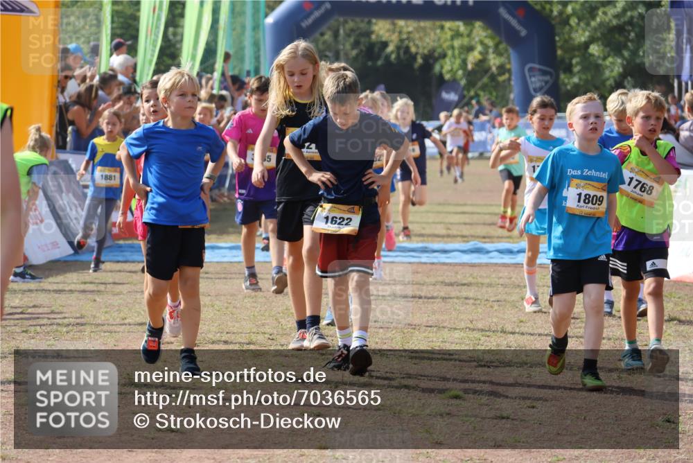 08.09.2024 - Airport Race Strokosch-Dieckow http://msf.ph/oto/7036565 08.09.2024 11:28:29 Ziel 1602, 1606, 1609, 1618, 1632, 1698, 1706, 1709, 1742, 1762, 1819, 1827, 1830, 1881, 1890, 3408, 3435 meine-sportfotos.de