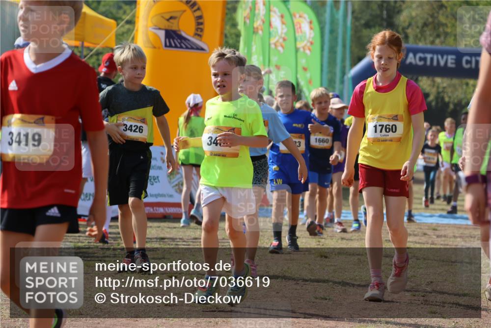 08.09.2024 - Airport Race Strokosch-Dieckow http://msf.ph/oto/7036619 08.09.2024 11:29:03 Ziel 1647, 1660, 1687, 1688, 1694, 1735, 1736, 1741, 1744, 1780, 1787, 1815, 1817, 1855, 1859, 1877, 1909, 1931, 1933, 1935, 3404 meine-sportfotos.de