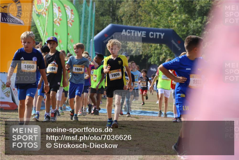 08.09.2024 - Airport Race Strokosch-Dieckow http://msf.ph/oto/7036626 08.09.2024 11:29:09 Ziel 1647, 1687, 1688, 1694, 1735, 1736, 1741, 1744, 1765, 1780, 1787, 1811, 1813, 1815, 1846, 1847, 1859, 1865, 1931, 1935, 1940, 3411 meine-sportfotos.de