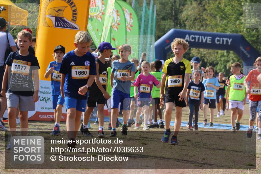 08.09.2024 - Airport Race Strokosch-Dieckow http://msf.ph/oto/7036633 08.09.2024 11:29:10 Ziel 1647, 1687, 1688, 1735, 1736, 1741, 1744, 1765, 1780, 1787, 1811, 1813, 1815, 1846, 1847, 1859, 1865, 1931, 1935, 1940, 3411 meine-sportfotos.de