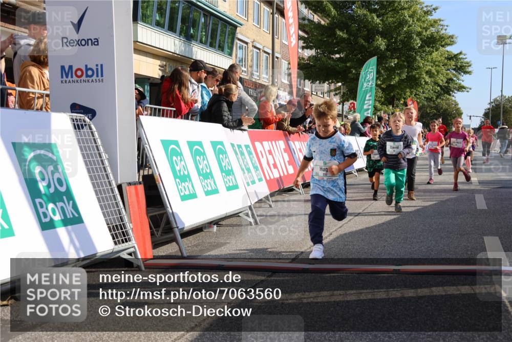 15.09.2024 - PSD Bank Halbmarathon Strokosch-Dieckow http://msf.ph/oto/7063560 15.09.2024 10:32:53 Ziel 1, 4, 40, 68, 83, 176, 182, 232, 241, 275, 283, 301, 302 meine-sportfotos.de