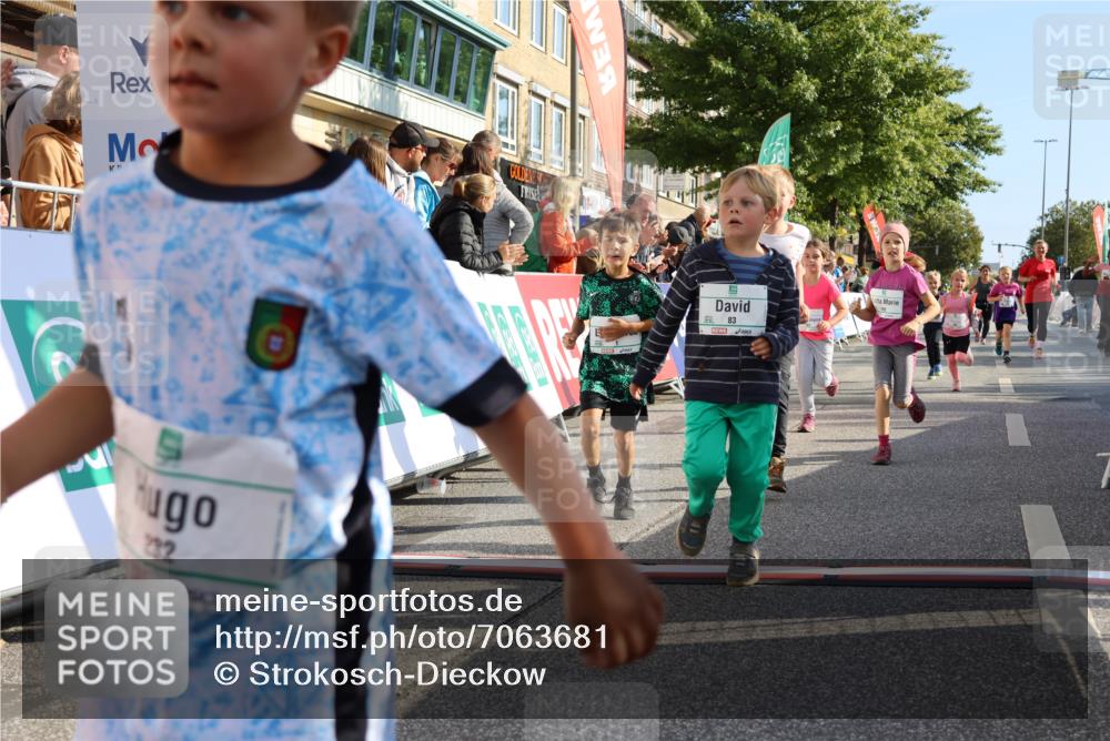 15.09.2024 - PSD Bank Halbmarathon Strokosch-Dieckow http://msf.ph/oto/7063681 15.09.2024 10:32:55 Ziel 1, 4, 40, 68, 83, 176, 182, 232, 241, 275, 283, 302 meine-sportfotos.de