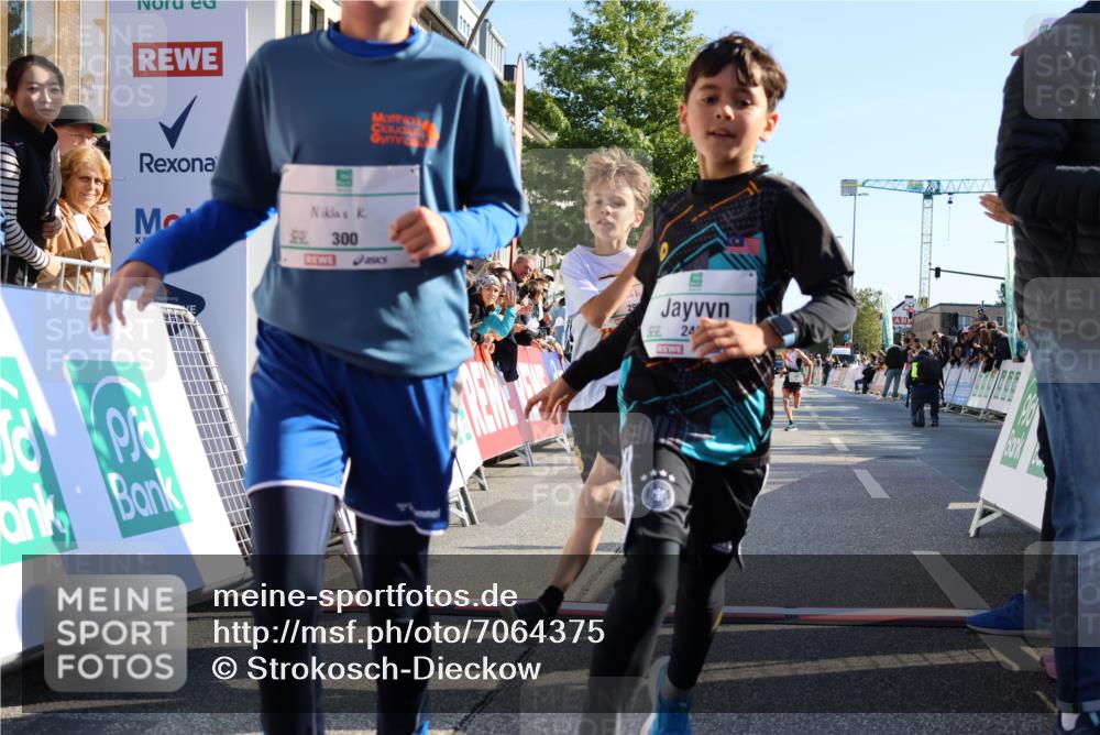 15.09.2024 - PSD Bank Halbmarathon Strokosch-Dieckow http://msf.ph/oto/7064375 15.09.2024 10:25:58 Ziel 36, 54, 221, 238, 248, 298, 300 meine-sportfotos.de