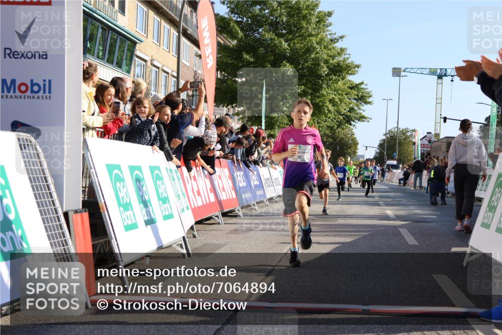 15.09.2024 - PSD Bank Halbmarathon Strokosch-Dieckow http://msf.ph/oto/7064894 15.09.2024 10:26:24 Ziel 9, 20, 88, 144, 181, 216, 240, 242, 295 meine-sportfotos.de