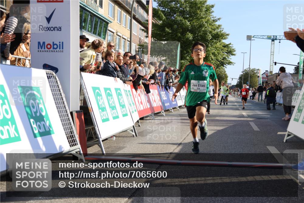 15.09.2024 - PSD Bank Halbmarathon Strokosch-Dieckow http://msf.ph/oto/7065600 15.09.2024 10:26:32 Ziel 9, 86, 88, 116, 118, 143, 144, 181, 188, 200, 216, 242, 251, 295 meine-sportfotos.de