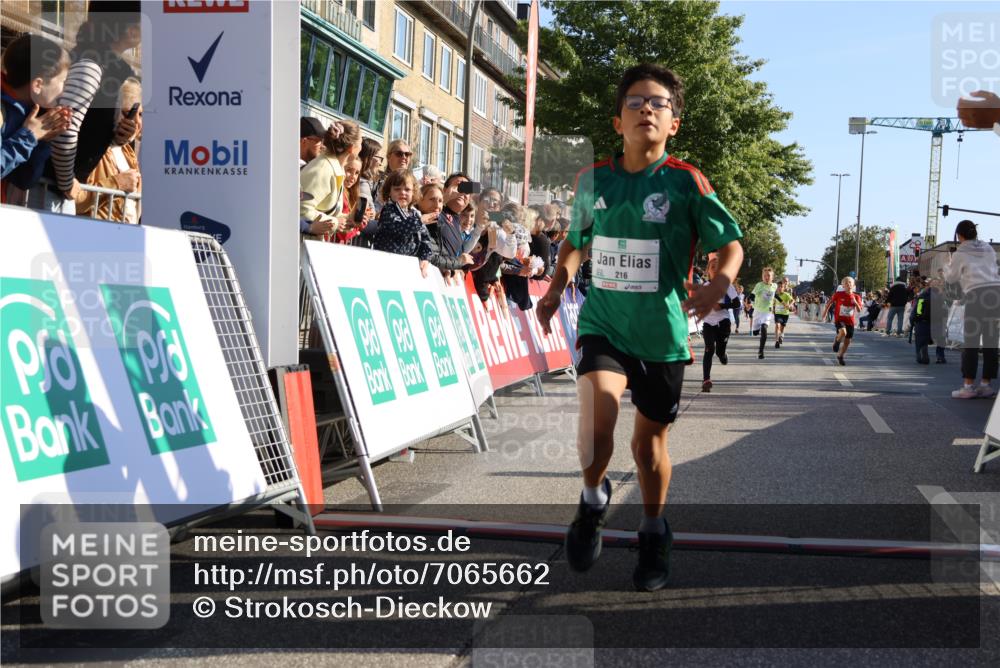 15.09.2024 - PSD Bank Halbmarathon Strokosch-Dieckow http://msf.ph/oto/7065662 15.09.2024 10:26:32 Ziel 9, 86, 88, 116, 118, 143, 144, 181, 188, 200, 216, 242, 251, 295 meine-sportfotos.de