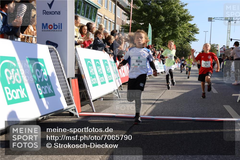 15.09.2024 - PSD Bank Halbmarathon Strokosch-Dieckow http://msf.ph/oto/7065790 15.09.2024 10:26:35 Ziel 9, 86, 88, 116, 118, 143, 144, 181, 188, 200, 216, 242, 251, 295 meine-sportfotos.de