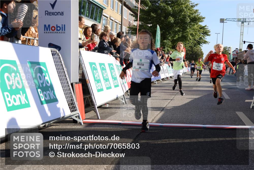 15.09.2024 - PSD Bank Halbmarathon Strokosch-Dieckow http://msf.ph/oto/7065803 15.09.2024 10:26:35 Ziel 9, 86, 88, 116, 118, 143, 144, 181, 188, 200, 216, 242, 251, 295 meine-sportfotos.de