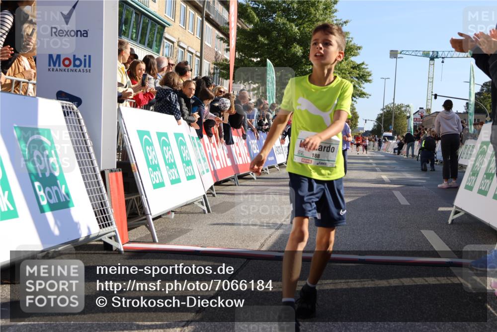 15.09.2024 - PSD Bank Halbmarathon Strokosch-Dieckow http://msf.ph/oto/7066184 15.09.2024 10:26:39 Ziel 9, 86, 88, 116, 118, 143, 144, 188, 200, 216, 251, 295 meine-sportfotos.de