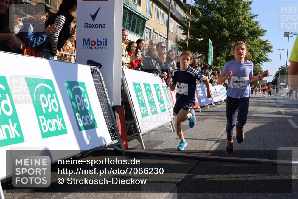 15.09.2024 - PSD Bank Halbmarathon Strokosch-Dieckow http://msf.ph/oto/7066230 15.09.2024 10:26:40 Ziel 9, 86, 88, 116, 118, 143, 188, 200, 209, 216, 251, 295 meine-sportfotos.de