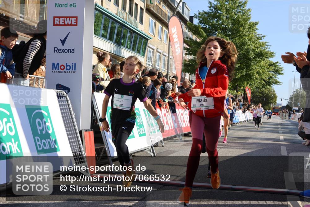 15.09.2024 - PSD Bank Halbmarathon Strokosch-Dieckow http://msf.ph/oto/7066532 15.09.2024 10:26:50 Ziel 134, 143, 173, 196, 209, 212, 229, 237, 251, 307 meine-sportfotos.de