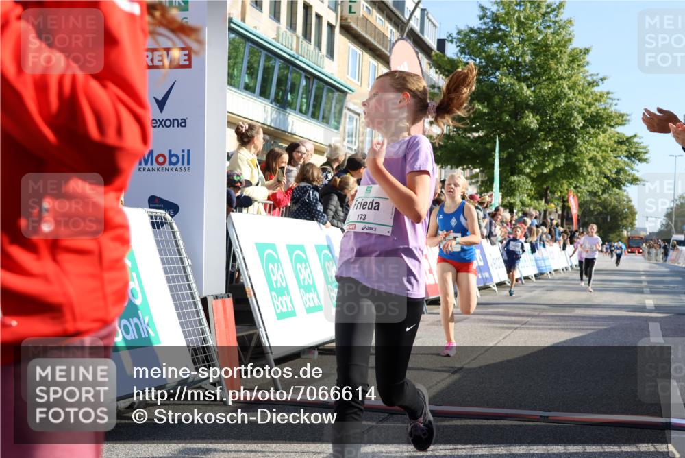 15.09.2024 - PSD Bank Halbmarathon Strokosch-Dieckow http://msf.ph/oto/7066614 15.09.2024 10:26:51 Ziel 134, 143, 173, 196, 209, 212, 229, 237, 251, 307 meine-sportfotos.de
