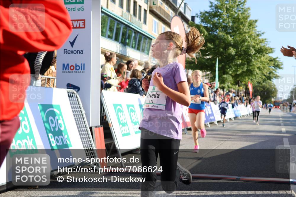 15.09.2024 - PSD Bank Halbmarathon Strokosch-Dieckow http://msf.ph/oto/7066624 15.09.2024 10:26:51 Ziel 134, 143, 173, 196, 209, 212, 229, 237, 251, 307 meine-sportfotos.de