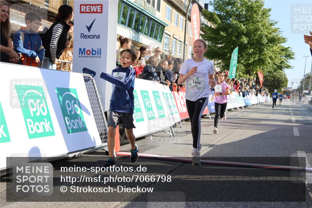 15.09.2024 - PSD Bank Halbmarathon Strokosch-Dieckow http://msf.ph/oto/7066798 15.09.2024 10:26:55 Ziel 134, 173, 196, 209, 212, 215, 229, 237, 307 meine-sportfotos.de