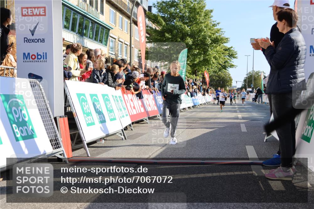 15.09.2024 - PSD Bank Halbmarathon Strokosch-Dieckow http://msf.ph/oto/7067072 15.09.2024 10:27:09 Ziel 18, 42, 69, 75, 82, 167, 215, 270, 284, 294 meine-sportfotos.de